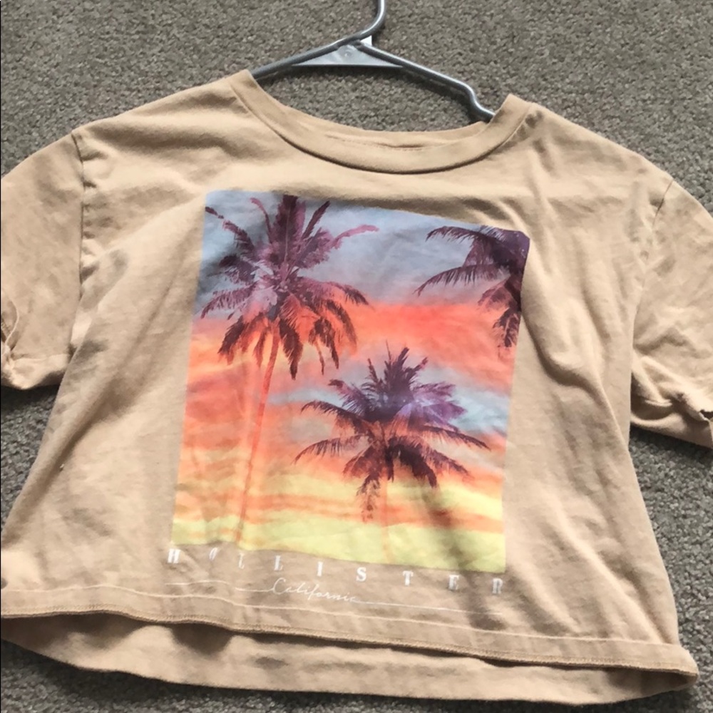 Hollister California Palm Tree Sunset Crop Top Tee